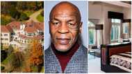 A look inside Mike Tyson's $4 million mansion which he sold in 2003 because of bankruptcy