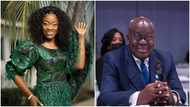 Diana Asamoah enrages Ghanaian netizens; says Nana Addo is the best president in the world