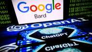 AI bots need consent to use our material, say news groups