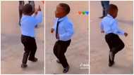 Young kid wearing shirt and tie dances with amazing strength in viral TikTok video