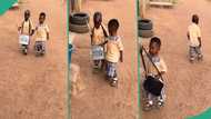 Little boy in nursery walks female classmate home after school: "They are in serious relationship"