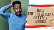 American lottery: 4 reasons applicants might be denied visa to US despite being selected