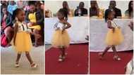 "Supermodel": Little girl in short gown catwalks before large crowd, video of her footsteps goes viral