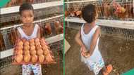 Man takes his daughter to help out in his poultry farm, her photos go viral: "She is learning"