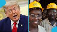 Relief for immigrants as US judge blocks Trump from revoking work permits for TPS holders and asylum seekers