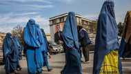 Taliban takeover: Afghan women barred from doing jobs that men can do