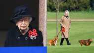 Queen Elizabeth II Saddened after Death of Puppy Gifted to Her