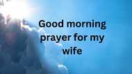 160+ earnest and powerful good morning prayers for my wife