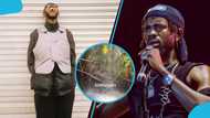 Black Sherif in awe after spotting a waterfall in his producer Samsney's farm, video
