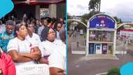 KATH nurses and midwives declare a strike in solidarity with doctors, demand CEO suspension reversal
