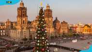 Christmas in Mexico: 15 Fun facts and traditions of Mexican Christmas