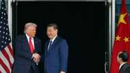 Fentanyl, beans and Ukraine: Trump hails 'success' in talks with Xi