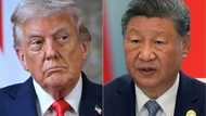 Trump says to push China's Xi on soybeans as US farmers struggle
