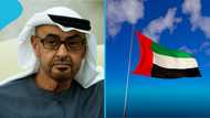 UAE sets age requirement that foreigners must meet to get a work permit