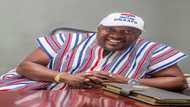 NDC is just disturbing the Supreme Court with its election petition - NPP's Nana B