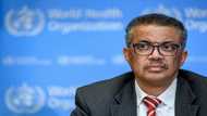 WHO to say if it will trigger highest alert on monkeypox