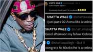 Shatta Wale is a big fan of Cobra song, calls Obaapa Gladys a champion