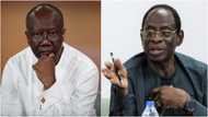 Sack Ofori-Atta, his stay in office problematic - Dr Apraku joins calls for minister to be sacked