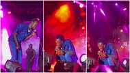 Black Sherif Concert: Young Musician Almost Wept On Stage Wile Performing Paradise