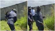 Osafo-Maafo divides the internet after a video of him weeding goes viral