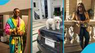 Jackie Appiah's son flaunts expensive Maserati & grand compound