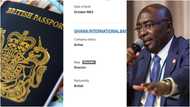Vice president Bawumia listed as "British" on UK Companies House website