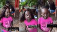 Stonebwoy's 4-year-old daughter wears wig and catwalks like a model, father takes off the wig in video