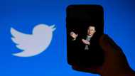 Musk poll shows respondents want to reinstate suspended Twitter accounts
