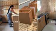 Lady upgrades kitchen with new cabinets and sink. video of cool interior amazes many