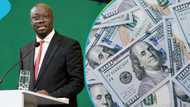 Cedi predicted to weaken by 8% against US dollar in 2026