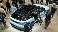 China says EU car subsidy probe will have 'negative impact'