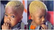 The mother should be arrested: Video of little girl getting hair dyed blonde causes stir online