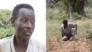 Meet 45-year-old disabled Ghanaian farmer who has been farming for 30 years