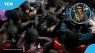 Prison break: Authorities provide update on escaped Konongo inmates