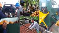 Video of advanced cocoa pod breaker built by Ghanaian engineer surfaces online