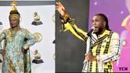 Angelique Kidjo beats Burna Boy to win Best World Music at 2020 Grammys