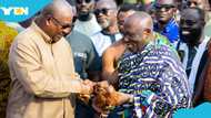 "Restoring food self-sufficiency": Mahama launches Nkoko Nkitinkiti with bold 2028 target