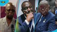 Mpiani blames Akufo-Addo for NPP's problems following Alan's resignation from party