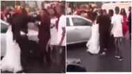 Big drama as bride finds out groom had been cheating on her with chief bridesmaid minutes before wedding