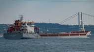 Ukraine 'optimistic' after arrival of first grain shipment