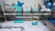 20 memorable first birthday theme ideas to celebrate your baby