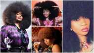 Woman with biggest afro in the world breaks record with her full beautiful hair; photos emerge