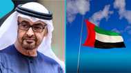 UAE publishes minimum age required to apply for a residence visa