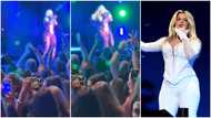 Bebe Rexha: A video of a fan throwing his phone at her goes viral on social media