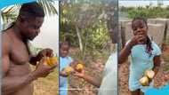 Freezy Macbones takes his daughter to a cocoa farm in village, cute video goes viral