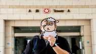 Hong Kong jails five for sedition over children's books