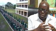 Schools should not be places to settle idealogical battles; Akufo-Addo breaks silence on Wesley Girls brouhaha