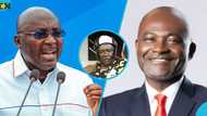 "They're all sankwas": Akyem Krontihene, Nana Boadi Obodade, blasts NPP flagbearer aspirants