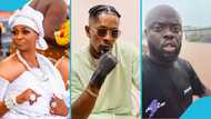 "You have a career because of Shatta Wale": Ayisha Modi chastises Kwadwo Sheldon
