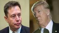 Will Musk help Trump with cash, not just tweets?